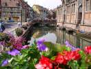 Viator-Reisen, Elsass