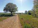 Viator-Reisen - Der Jakobsweg nach Santiago de Compostela